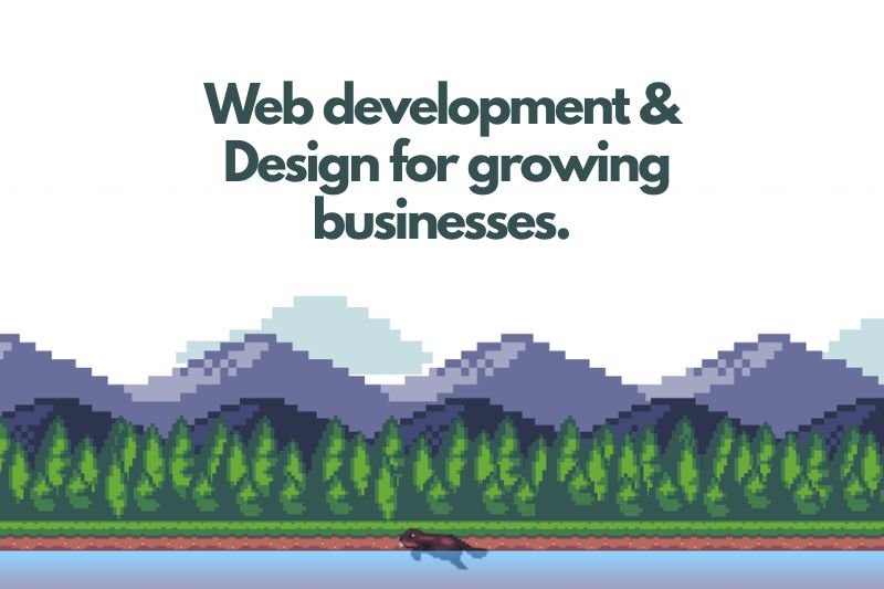 Pixel Beaver — Websites that grow your business